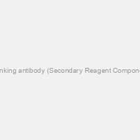 STAT-Q Multivalent Secondary Linking antibody (Secondary Reagent Component) for staining Mouse or Rabbit & Rat  antibodies, 350 plus slidesl